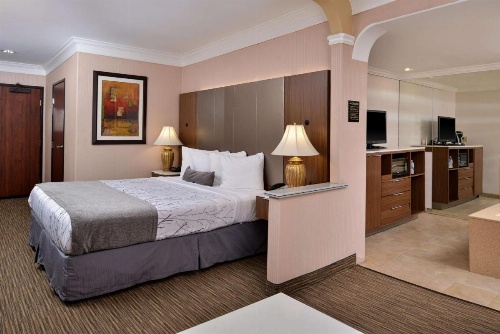 Best Western Plus Suites Hotel - Los Angeles LAX Airport image 5